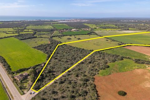 Terra a Campos, Mallorca, Campos - € 1.500.000 | Ref: 07SJRG013/3010 - foto 4
