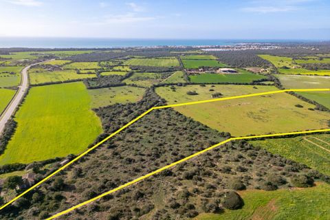 Terra a Campos, Mallorca, Campos - € 1.500.000 | Ref: 07SJRG013/3010 - foto 5