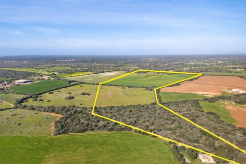 Terra a Campos, Mallorca, Campos - € 1.500.000 | Ref: 07SJRG013/3010 - foto 7