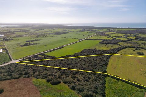 Terra a Campos, Mallorca, Campos - € 1.500.000 | Ref: 07SJRG013/3010 - foto 8