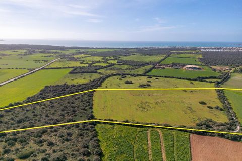 Terra a Campos, Mallorca, Campos - € 1.500.000 | Ref: 07SJRG013/3010 - foto 9