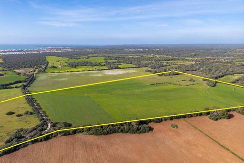 Terra a Campos, Mallorca, Campos - € 1.500.000 | Ref: 07SJRG013/3010 - foto 10