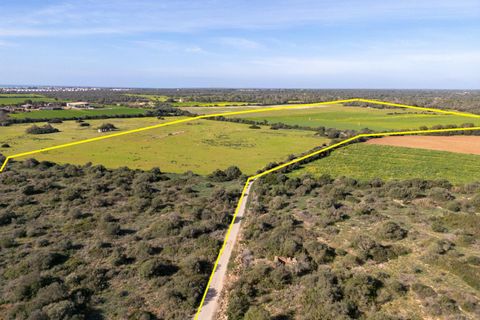 Terra a Campos, Mallorca, Campos - € 1.500.000 | Ref: 07SJRG013/3010 - foto 12