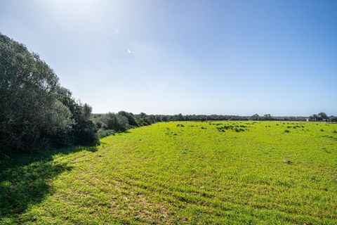 Terra a Campos, Mallorca, Campos - € 1.500.000 | Ref: 07SJRG013/3010 - foto 13