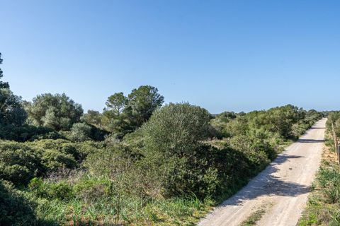Terra a Campos, Mallorca, Campos - € 1.500.000 | Ref: 07SJRG013/3010 - foto 16
