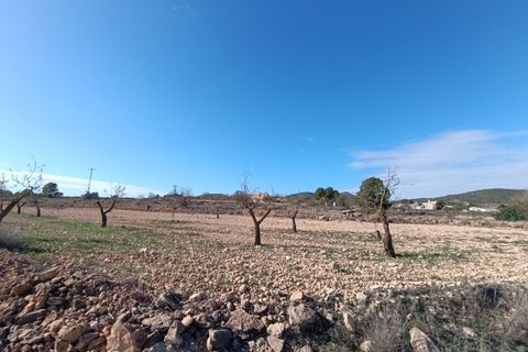 Ruinere i Yecla, Murcia, Yecla - € 56.000 | Ref: 66027-c26 - foto 4
