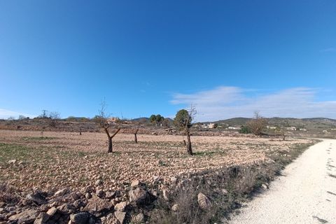 Ruinere i Yecla, Murcia, Yecla - € 56.000 | Ref: 66027-c26 - foto 5
