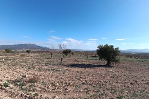 Ruinere i Yecla, Murcia, Yecla - € 56.000 | Ref: 66027-c26 - foto 7