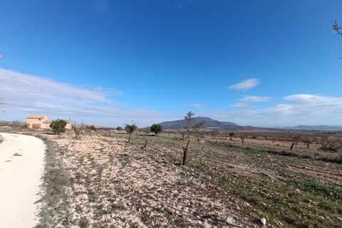 Ruinere i Yecla, Murcia, Yecla - € 56.000 | Ref: 66027-c26 - foto 9