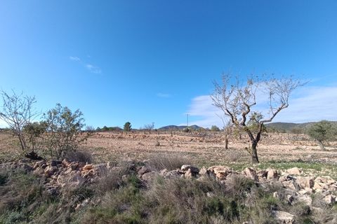 Ruinere i Yecla, Murcia, Yecla - € 56.000 | Ref: 66027-c26 - foto 10