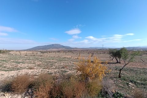 Ruinere i Yecla, Murcia, Yecla - € 56.000 | Ref: 66027-c26 - foto 13