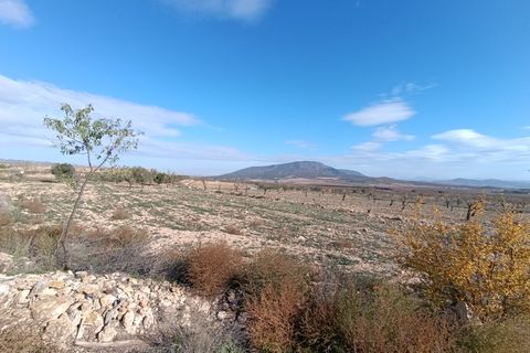 Ruinere i Yecla, Murcia, Yecla - € 56.000 | Ref: 66027-c26 - foto 14