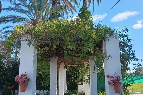 Villa i Elche, Alicante, Elche - € 395.000 | Ref: 1RE1145 - foto 14