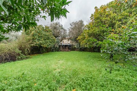 Landsbyhus i Fundao, Castelo Branco, Fundao - € 164.000 | Ref: 255260023 - foto 16