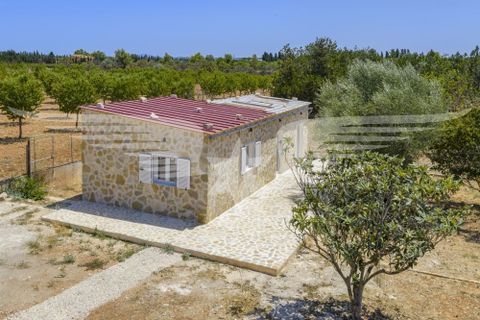Villa i Binissalem, Mallorca, Binissalem - € 3.400.000 | Ref: 4195_SG - foto 25