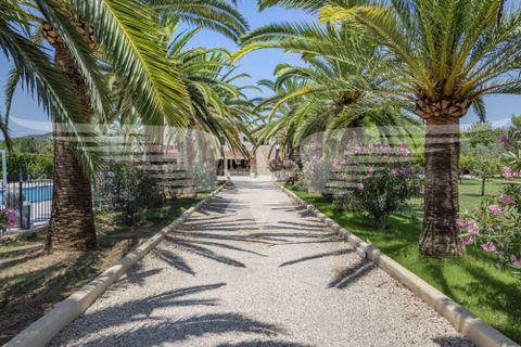 Villa i Binissalem, Mallorca, Binissalem - € 3.400.000 | Ref: 4195_SG - foto 31