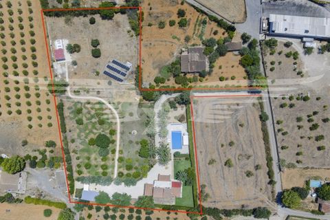 Villa i Binissalem, Mallorca, Binissalem - € 3.400.000 | Ref: 4195_SG - foto 32