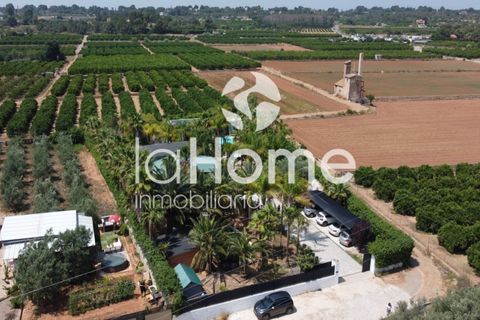 Haus in Betera, Valencia, Betera - € 845.000 | Ref: 2044VE - Foto 34