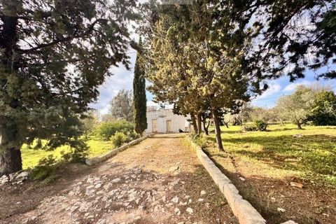 Landejendom i Carovigno, Brindisi, Carovigno - € 75.000 | Ref: lm18 land w bui - foto 28