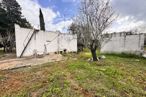 Landejendom i Carovigno, Brindisi, Carovigno - € 75.000 | Ref: lm18 land w bui - foto 12