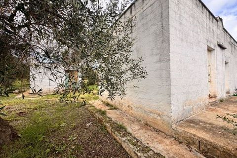 Landejendom i Carovigno, Brindisi, Carovigno - € 75.000 | Ref: lm18 land w bui - foto 7
