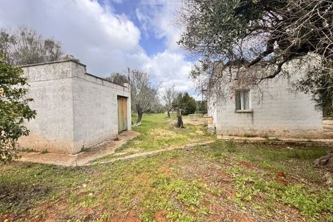 Landejendom i Carovigno, Brindisi, Carovigno - € 75.000 | Ref: lm18 land w bui - foto 6