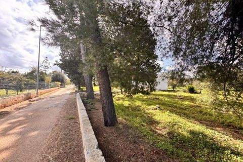 Landejendom i Carovigno, Brindisi, Carovigno - € 75.000 | Ref: lm18 land w bui - foto 27