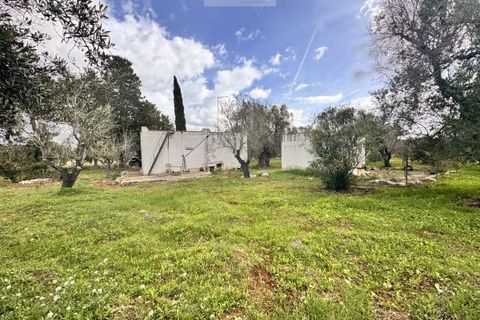 Landejendom i Carovigno, Brindisi, Carovigno - € 75.000 | Ref: lm18 land w bui - foto 14