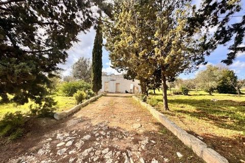 Landejendom i Carovigno, Brindisi, Carovigno - € 75.000 | Ref: lm18 land w bui - foto 1