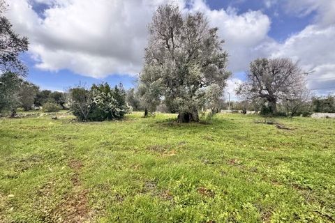 Landejendom i Carovigno, Brindisi, Carovigno - € 75.000 | Ref: lm18 land w bui - foto 25