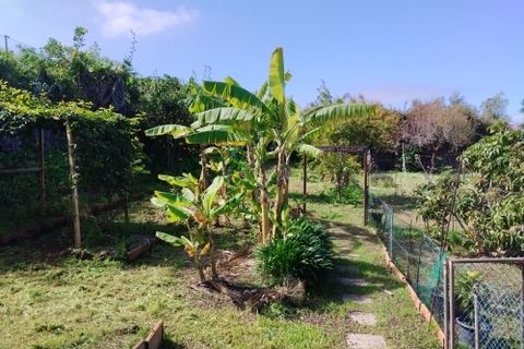Villa i Santa Ursula, Tenerife, Santa Ursula - € 1.290.000 | Ref: 202610 - foto 13