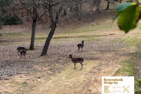 Villa i Caldes De Malavella, Gerona, Caldes De Malavella - € 339.000 | Ref: 70791 - foto 31