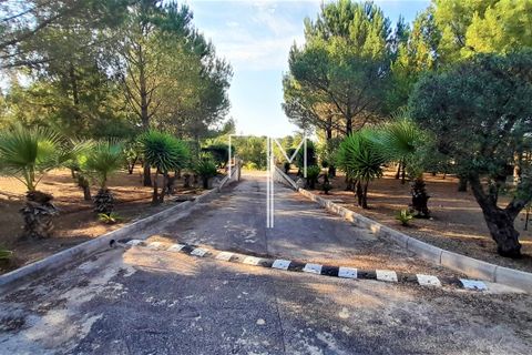 Villa a Navarres, Valencia, Navarres - € 360.000 | Ref: NaRa11 - foto 22