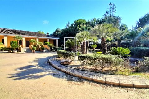 Villa a Navarres, Valencia, Navarres - € 360.000 | Ref: NaRa11 - foto 21
