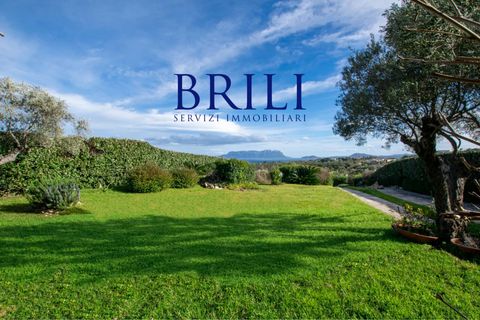 Villa i Golfo Aranci, Olbia Tempio, Golfo Aranci - € 810.000 | Ref: GA-002GRI - foto 1