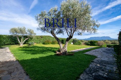 Villa i Golfo Aranci, Olbia Tempio, Golfo Aranci - € 810.000 | Ref: GA-002GRI - foto 2