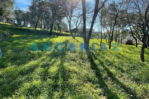 Helårsgrund i Tomar, Santarem, Tomar - € 17.000 | Ref: ANG1540 - foto 1