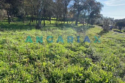 Helårsgrund i Tomar, Santarem, Tomar - € 17.000 | Ref: ANG1540 - foto 2
