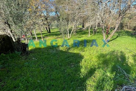 Helårsgrund i Tomar, Santarem, Tomar - € 17.000 | Ref: ANG1540 - foto 3