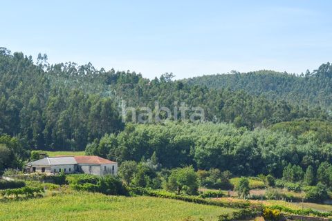 Lejlighed i Trofa, Porto, Trofa - € 350.000 | Ref: MRS012603_A12- PM - foto 21