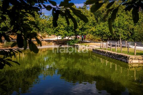 Lejlighed i Maia, Porto, Maia - € 240.000 | Ref: ESM082501_C - foto 13