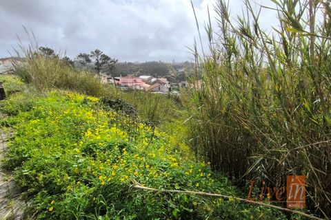 Helårsgrund i Ericeira, Lisbon, Ericeira - € 175.000 | Ref: 1006JF - foto 12