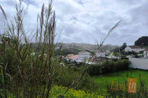 Helårsgrund i Ericeira, Lisbon, Ericeira - € 175.000 | Ref: 1006JF - foto 15