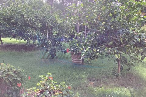 Villa i Rosignano Marittimo, Livorno, Rosignano Marittimo - € 730.000 | Ref: R423 - foto 13