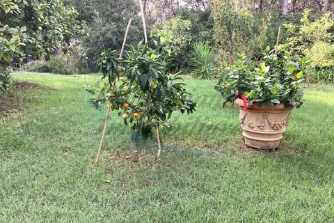 Villa i Rosignano Marittimo, Livorno, Rosignano Marittimo - € 730.000 | Ref: R423 - foto 14