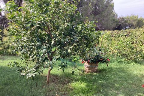 Villa i Rosignano Marittimo, Livorno, Rosignano Marittimo - € 730.000 | Ref: R423 - foto 15
