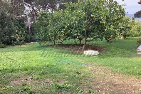 Villa i Rosignano Marittimo, Livorno, Rosignano Marittimo - € 730.000 | Ref: R423 - foto 16
