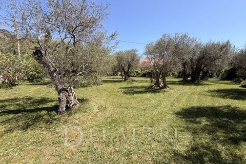 Villa i Chateauneuf-Grasse, Alpes-Maritimes, Chateauneuf-Grasse - € 1.295.000 | Ref: 86468666 - foto 7