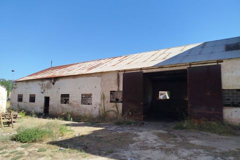 Erhvervsejendom i Abrantes, Santarem, Abrantes - € 295.000 | Ref: SF-SAFTI:007211 - foto 4