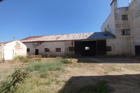 Erhvervsejendom i Abrantes, Santarem, Abrantes - € 295.000 | Ref: SF-SAFTI:007211 - foto 5
